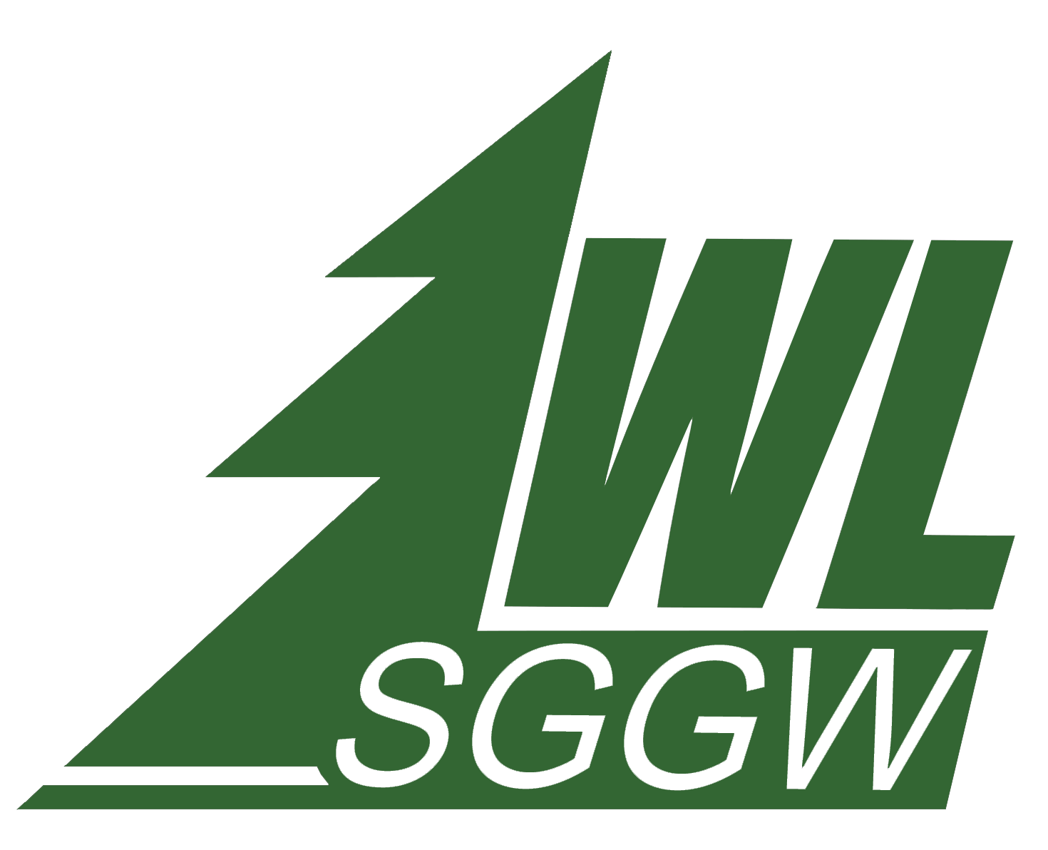 WL_logo - Codimex